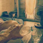 Que faire pendant la canicule : boire et se rafraîchir à la maison, linge humide et brumisateur